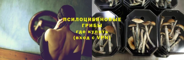 кокаин Алексеевка