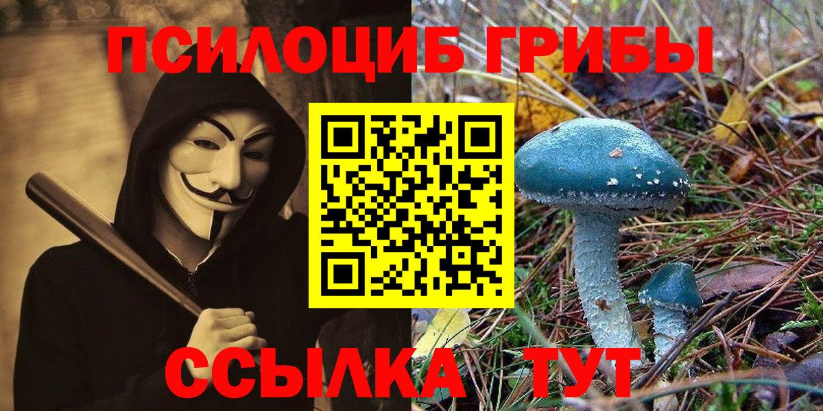 Псилоцибиновые грибы прущие грибы Урюпинск