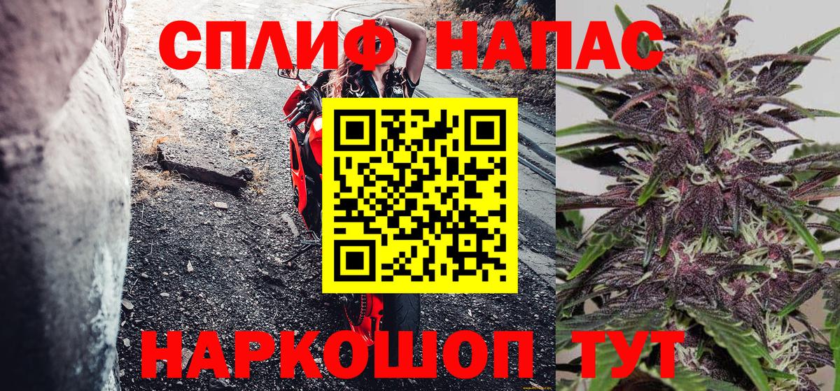 Бошки Шишки планчик  Вход с VPN  Урюпинск  Бошки Шишки Amnesia  Каннабис гибрид 